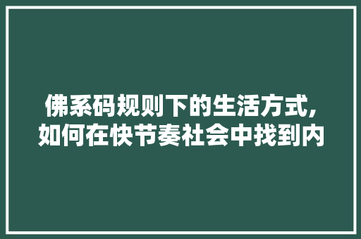 佛系码规则下的生活方式,如何在快节奏社会中找到内心的宁静