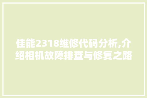 佳能2318维修代码分析,介绍相机故障排查与修复之路