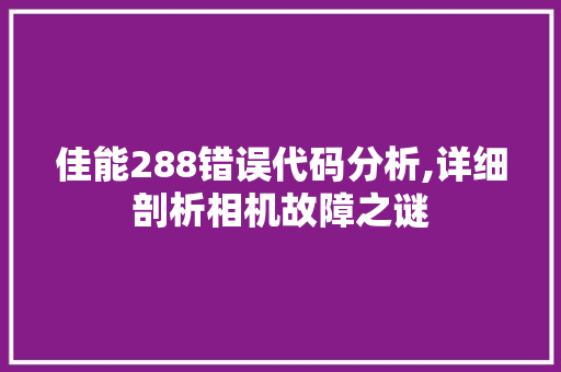 佳能288错误代码分析,详细剖析相机故障之谜