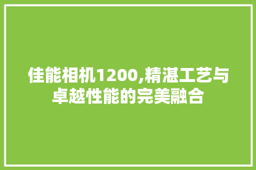 佳能相机1200,精湛工艺与卓越性能的完美融合