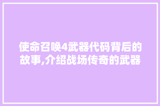 使命召唤4武器代码背后的故事,介绍战场传奇的武器奥秘