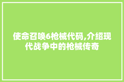 使命召唤6枪械代码,介绍现代战争中的枪械传奇