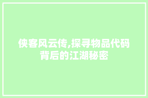 侠客风云传,探寻物品代码背后的江湖秘密