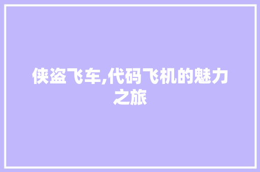 侠盗飞车,代码飞机的魅力之旅