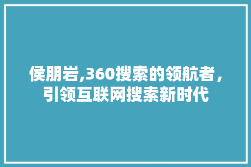 侯朋岩,360搜索的领航者，引领互联网搜索新时代