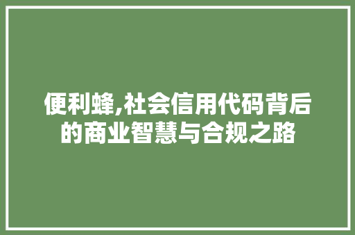 便利蜂,社会信用代码背后的商业智慧与合规之路