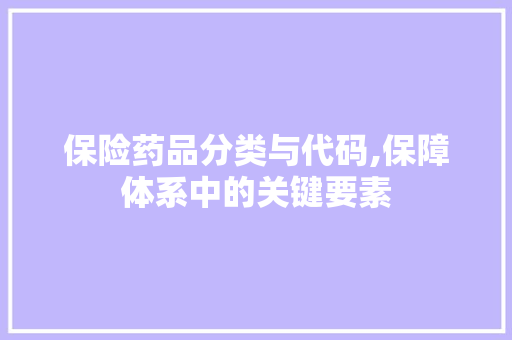 保险药品分类与代码,保障体系中的关键要素