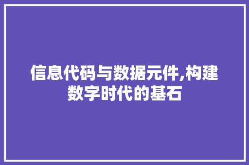 信息代码与数据元件,构建数字时代的基石