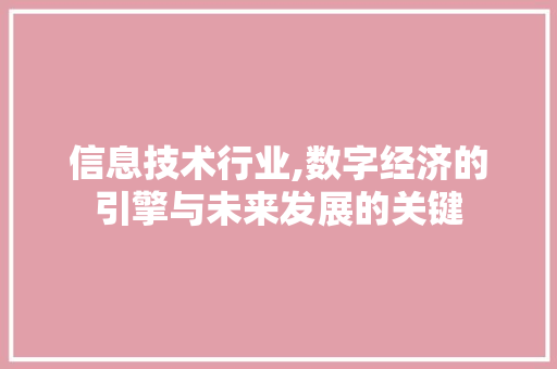 信息技术行业,数字经济的引擎与未来发展的关键