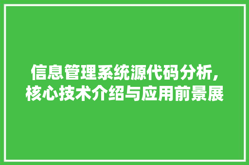 信息管理系统源代码分析,核心技术介绍与应用前景展望