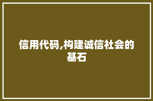 信用代码,构建诚信社会的基石