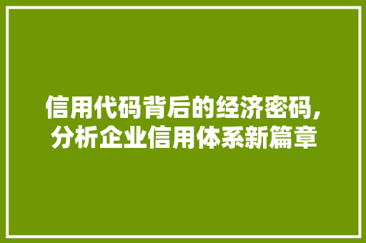 信用代码背后的经济密码,分析企业信用体系新篇章