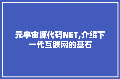 元宇宙源代码NET,介绍下一代互联网的基石