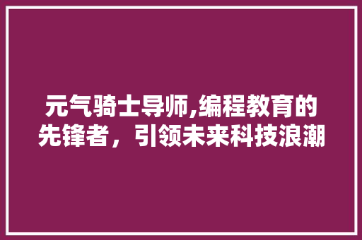 元气骑士导师,编程教育的先锋者，引领未来科技浪潮