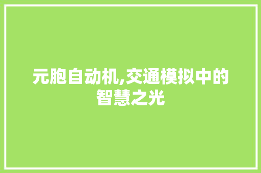 元胞自动机,交通模拟中的智慧之光