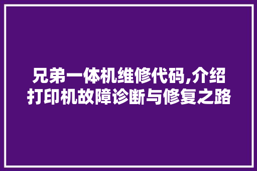 兄弟一体机维修代码,介绍打印机故障诊断与修复之路