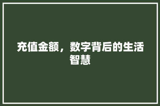 充值金额，数字背后的生活智慧