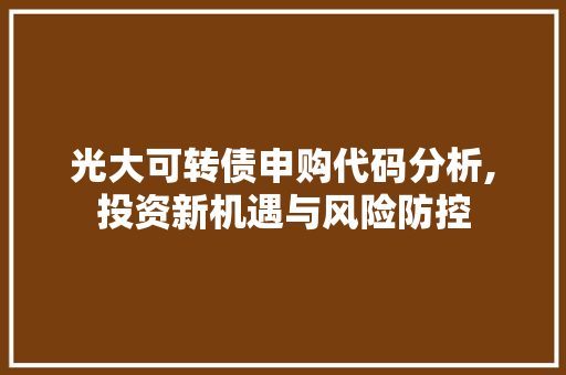 光大可转债申购代码分析,投资新机遇与风险防控