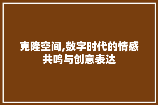 克隆空间,数字时代的情感共鸣与创意表达