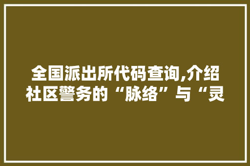 全国派出所代码查询,介绍社区警务的“脉络”与“灵魂”