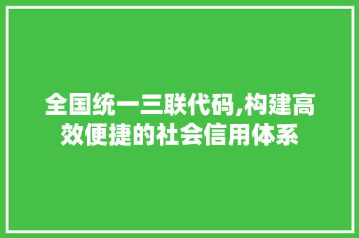 全国统一三联代码,构建高效便捷的社会信用体系