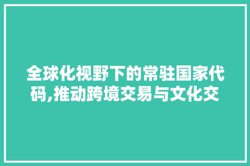 全球化视野下的常驻国家代码,推动跨境交易与文化交流的桥梁