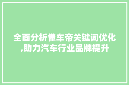 全面分析懂车帝关键词优化,助力汽车行业品牌提升