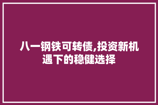 八一钢铁可转债,投资新机遇下的稳健选择