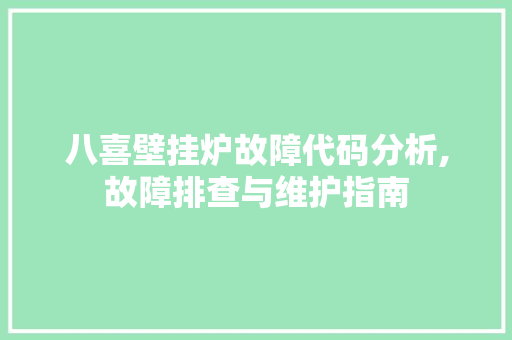 八喜壁挂炉故障代码分析,故障排查与维护指南