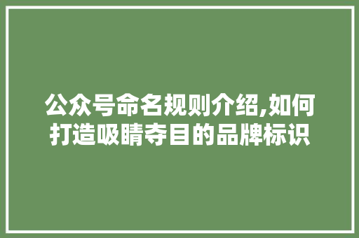 公众号命名规则介绍,如何打造吸睛夺目的品牌标识