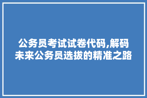 公务员考试试卷代码,解码未来公务员选拔的精准之路