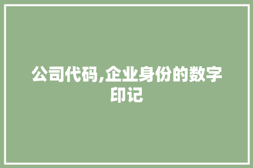 公司代码,企业身份的数字印记