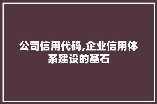 公司信用代码,企业信用体系建设的基石