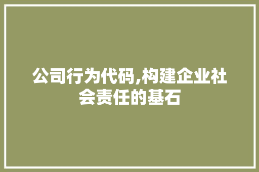 公司行为代码,构建企业社会责任的基石