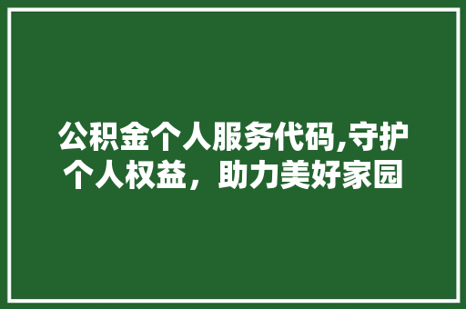 公积金个人服务代码,守护个人权益，助力美好家园