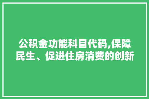 公积金功能科目代码,保障民生、促进住房消费的创新举措