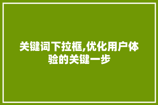 关键词下拉框,优化用户体验的关键一步