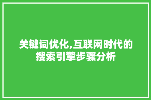 关键词优化,互联网时代的搜索引擎步骤分析