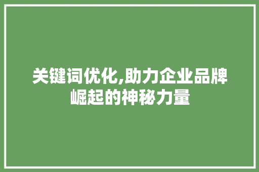 关键词优化,助力企业品牌崛起的神秘力量