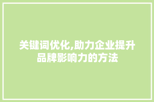 关键词优化,助力企业提升品牌影响力的方法