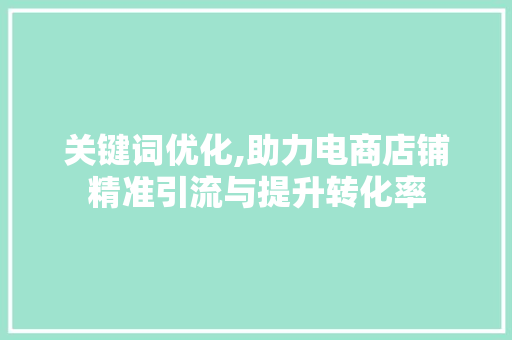 关键词优化,助力电商店铺精准引流与提升转化率