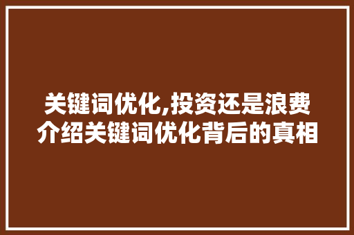 关键词优化,投资还是浪费介绍关键词优化背后的真相 GraphQL