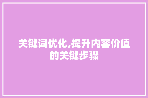 关键词优化,提升内容价值的关键步骤