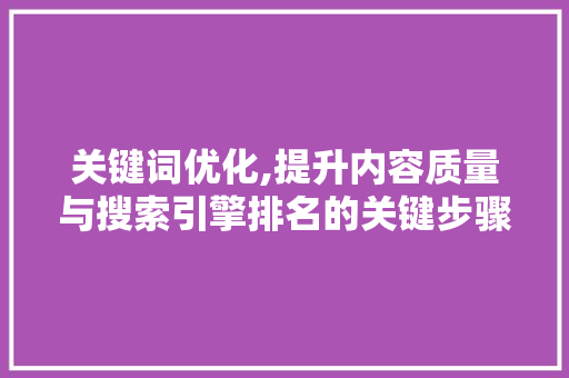 关键词优化,提升内容质量与搜索引擎排名的关键步骤