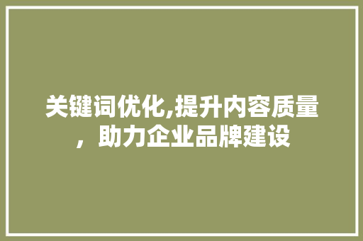 关键词优化,提升内容质量，助力企业品牌建设