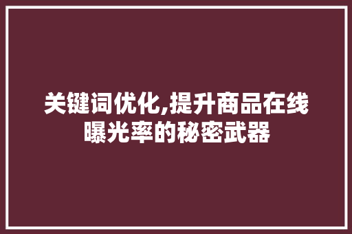 关键词优化,提升商品在线曝光率的秘密武器