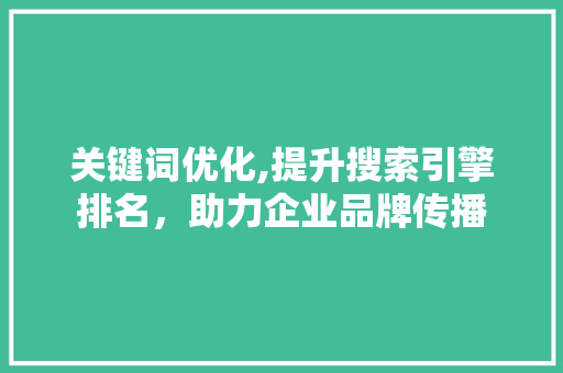 关键词优化,提升搜索引擎排名，助力企业品牌传播