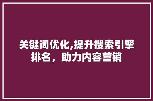 关键词优化,提升搜索引擎排名，助力内容营销