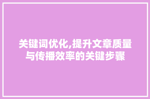 关键词优化,提升文章质量与传播效率的关键步骤