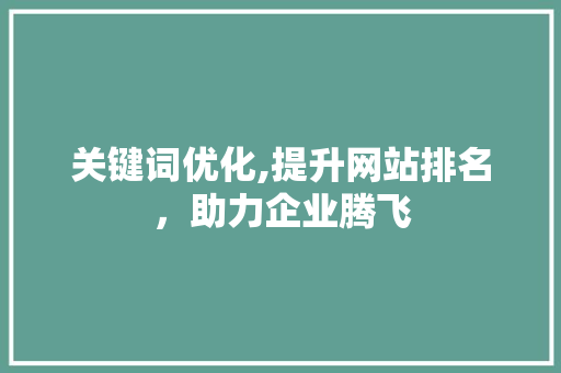 关键词优化,提升网站排名，助力企业腾飞